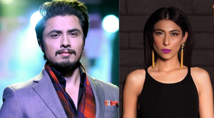 Ali Zafar’s second witness claims Meesha Shafi is a liar