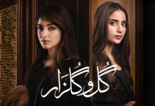 Episode Review: Gul O Gulzar stood up to the hype created by trailer