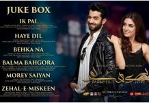 The Parey Hut Love playlist can satisfy any type of music lover