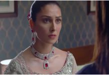 Mere Paas Tum Ho: Fans reaction on Mehwish getting slapped