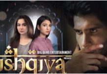 Teaser Review: Ishqiya is a love triangle