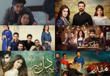 6 Pakistani dramas you must watch right now