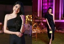 Aymen Saleem – an epitome of beauty with brains