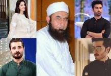 Celebs speak up in favour of Maulana Tariq Jameel
