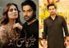 MPTH played a great role in getting me Pride of Performance, Humayun Saeed