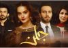 PEMRA puts a ban on ARY Digital’s drama ‘Jalan’