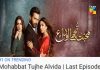 Mohabbat Tujhe Alvida’s last episode left us all in tears