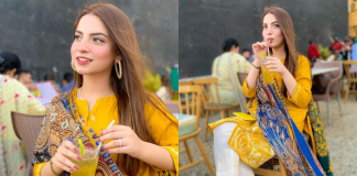 Dananeer the ‘Pawri’ girl hints at a collaboration with Peshawar Zalmi