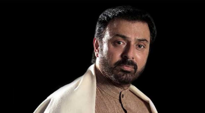 ‘Artists nowadays are forced to work like donkeys’ Nauman Ijaz