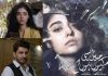 Audience criticizes Noor and Syed Jibran’s drama ‘Main Aisi Kiun Hoon’ for hair shaming